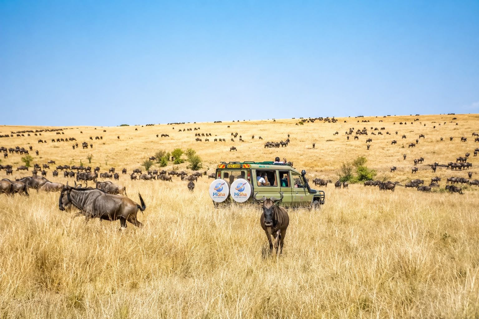 Masai Mara